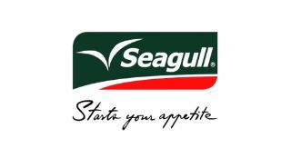 Seagull